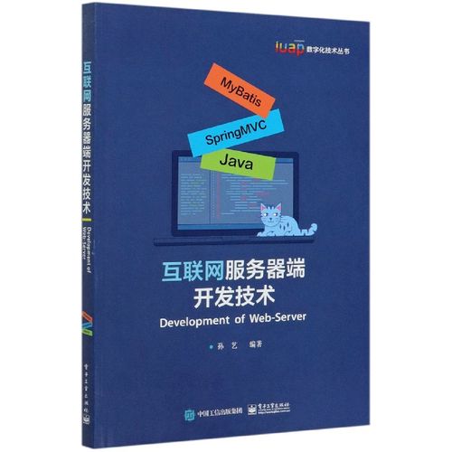 互联网服务器端开发技术/iuap数字化技术丛书 博库网